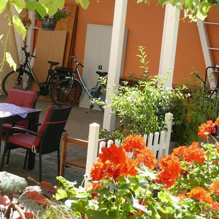 Gaestehaus Herbert Kappes Zeltingen-Rachtig Εξωτερικό φωτογραφία